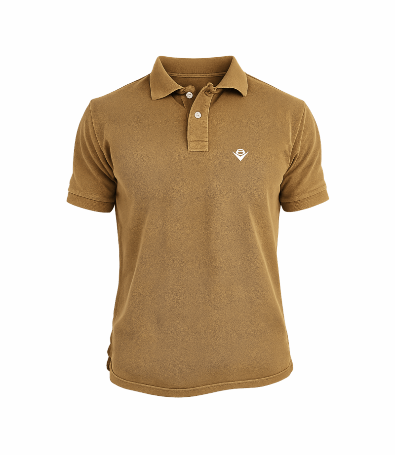 polo-v8